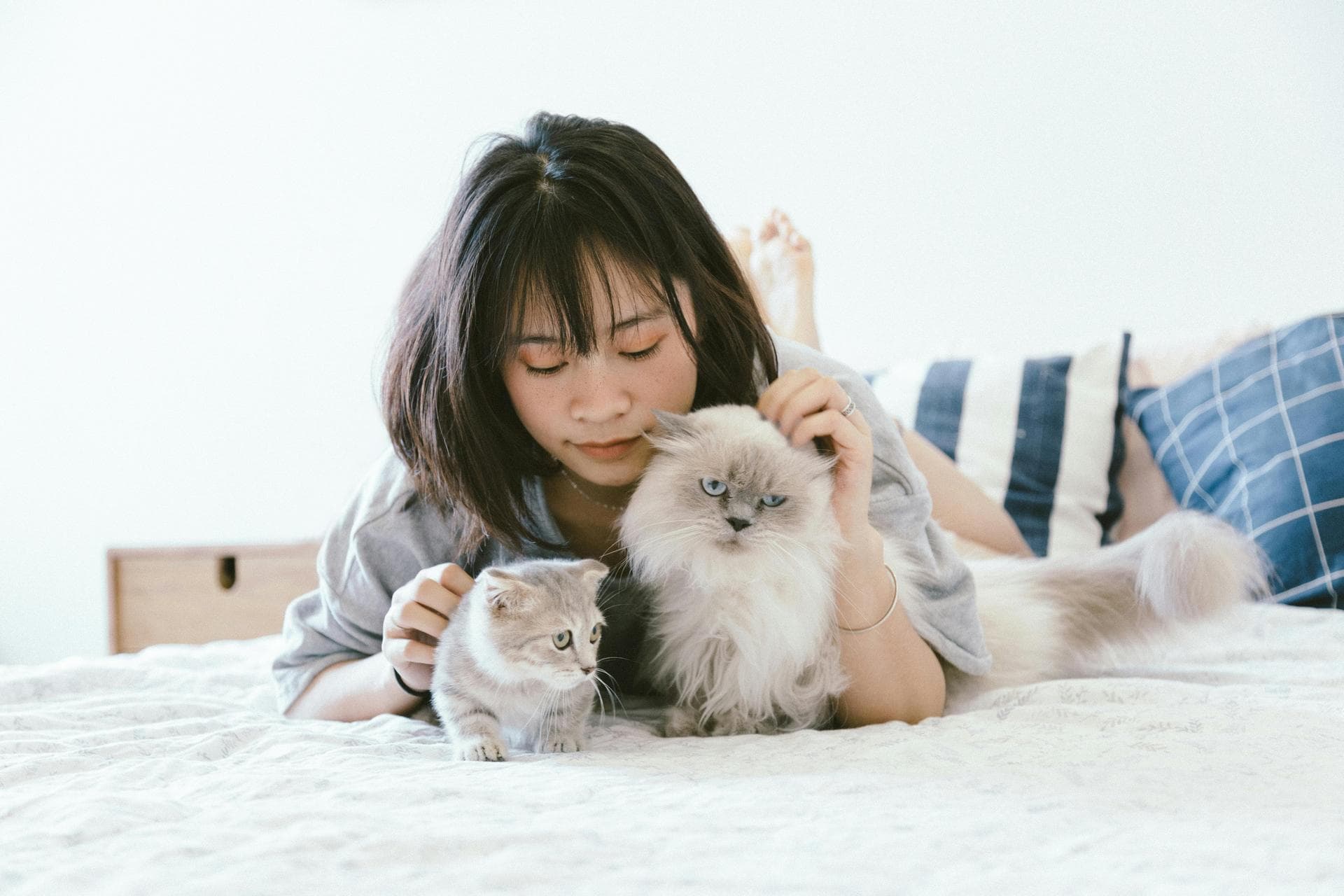 Dog Cremation Prices in Swindon